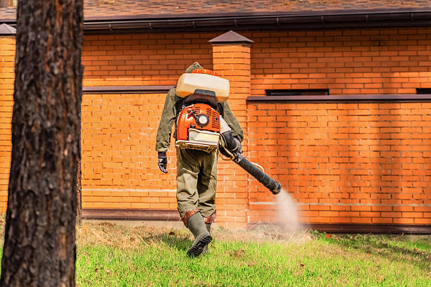 Trusted Termite Control service in Messiah College, PA - Nex Pest Control